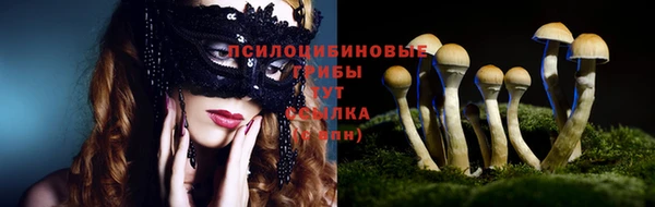 тгк Володарск