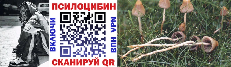 Псилоцибиновые грибы прущие грибы Петушки